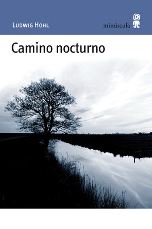 Camino nocturno
