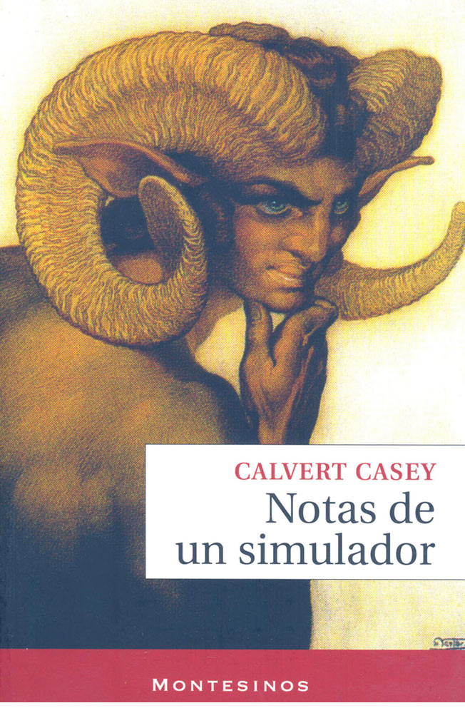 Notas de un simulador