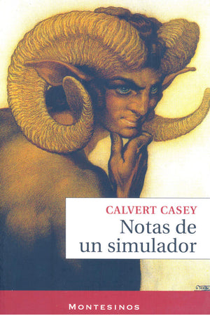 Notas de un simulador