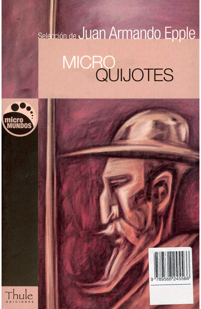Micro Quijotes