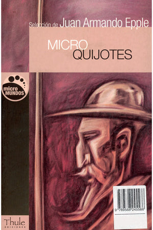 Micro Quijotes