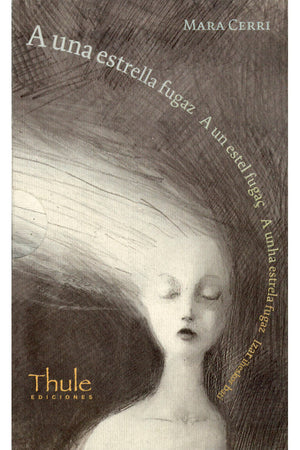 A una estrella fugaz