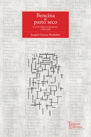 Bencina & pasto seco. La crisis chilena en perspectiva (1990-2020)
