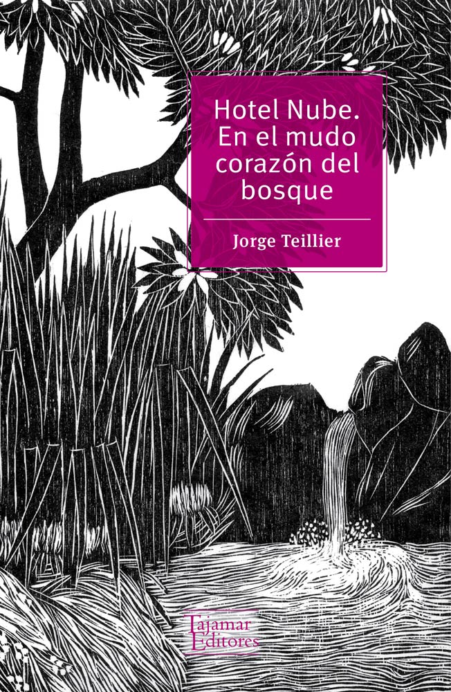 Hotel nube. En el mudo corazón del bosque