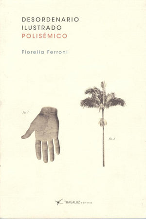 Desordenario ilustrado polisémico